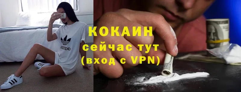 COCAIN VHQ  Каменногорск 